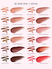 stain & plump lip and liner duo